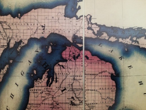 CarneysSeriesofMedicalCharts_1874_Phthisis_32-3Greatlakes-Chippewa-sm-contrasted
